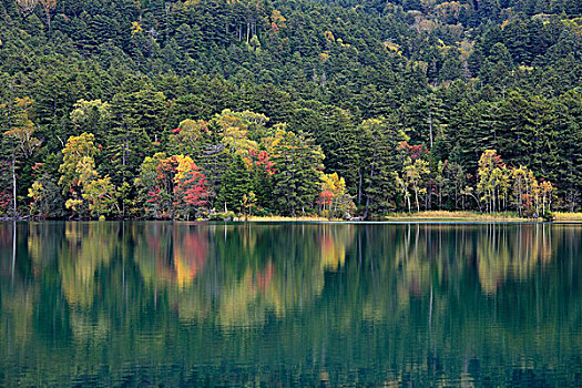 秋叶,湖