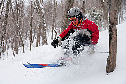 美国,佛蒙特州,专家,男性,青少年,滑雪者,滑雪,粉状雪,树
