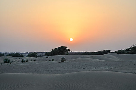 日落,上方,荒芜,拉贾斯坦邦,印度