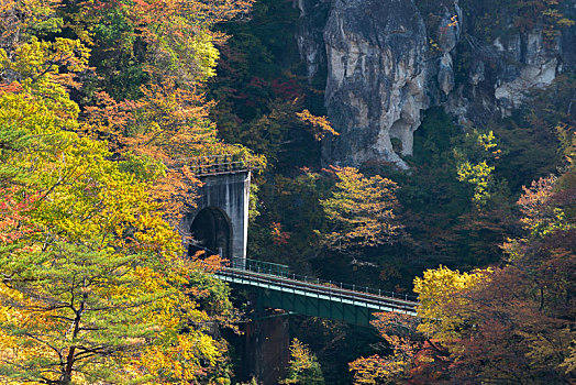 峡谷,宫城,日本东北地区,日本