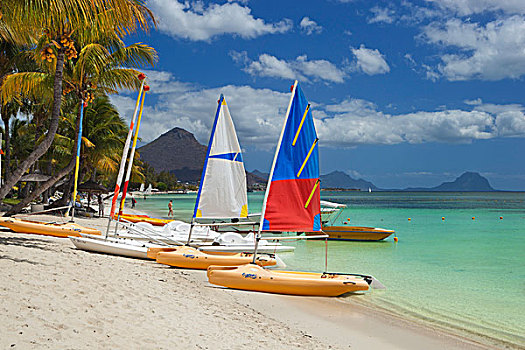 毛里求斯,西海岸,帆船,热带沙滩