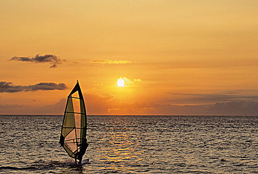 美国,毛伊岛,夏威夷,日落,帆板运动,海洋