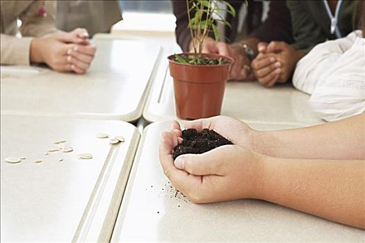 学生,植物,教室