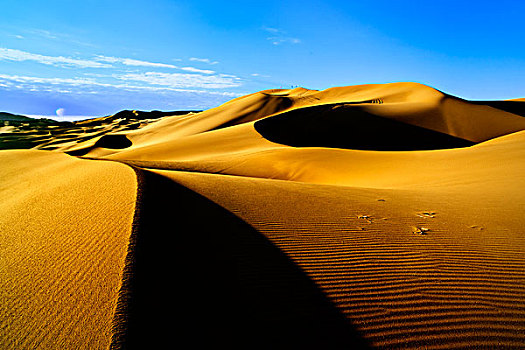沙丘,沙漠,波纹,干燥,荒凉,金黄