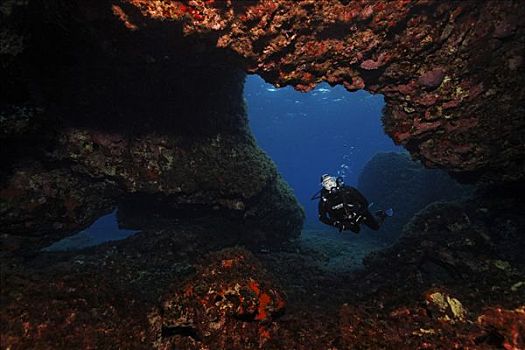 潜水者,潜水,洞穴,无脊椎动物,塞浦路斯,亚洲,地中海