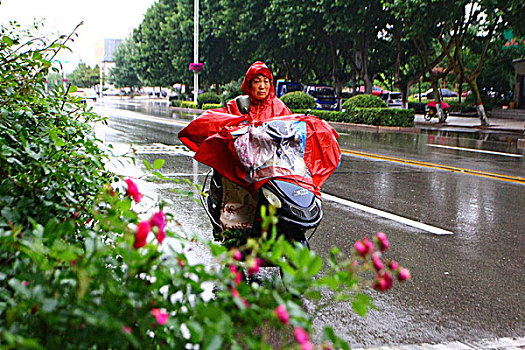 下雨天气市民出行图