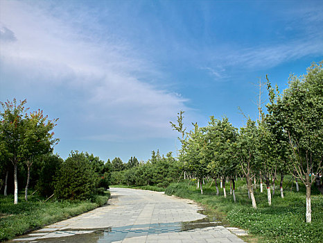 石家庄浮沱河湿地公园