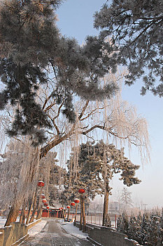 河北易县清西陵雪景