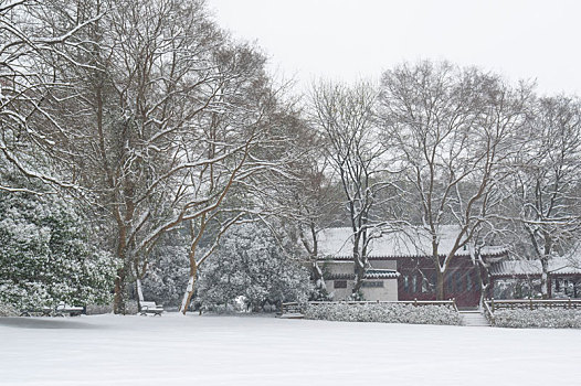 武汉,东湖,雪景