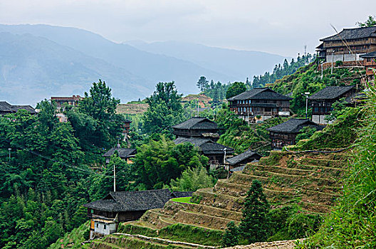 桂林山岭梯田景色