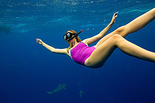 水下视角,女人,潜水,海洋生物,瓦胡岛,夏威夷,美国
