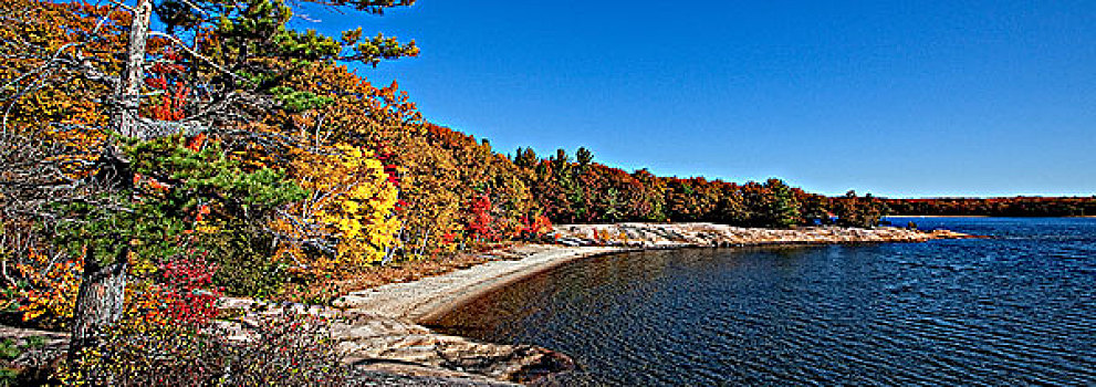 全景,秋色,安大略省,加拿大