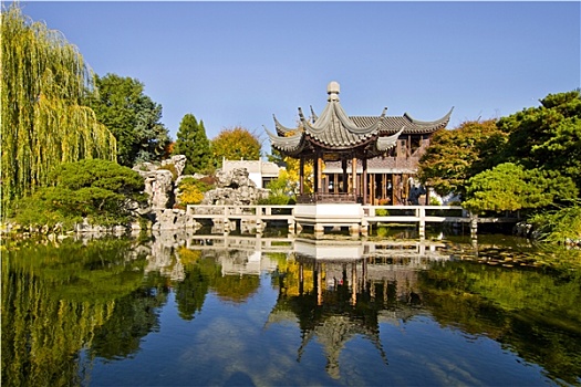 反射,水塘,中式花园