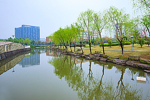 公园,河,水,柳树,雨