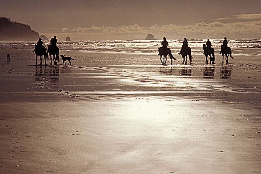 剪影,多人,骑马,海滩,半岛,俄勒冈,美国
