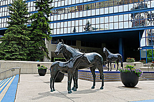 雕塑,正面,卡尔加里,城市,建筑,艾伯塔省,加拿大