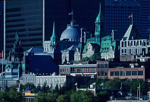 加拿大,魁北克省,蒙特利尔,建筑,市政厅