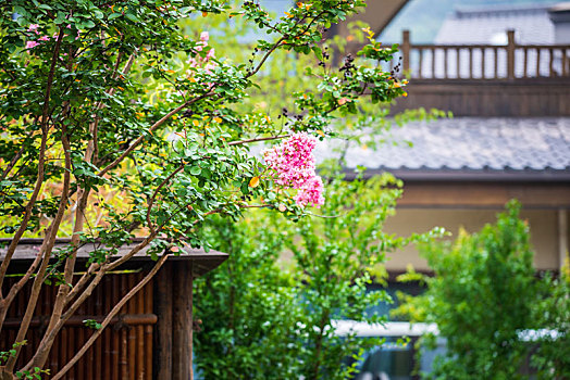 无锡,灵山,拈花,风景区