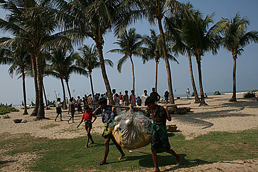 渔民,海洋,沙阿,岛屿,市场,孟加拉,2008年