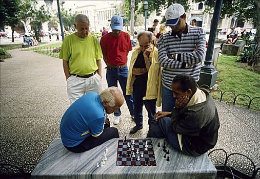 两个,老人,玩,下棋,公园,哈瓦那,古巴,加勒比海