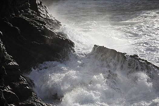 浪花,富埃特文图拉岛,加纳利群岛