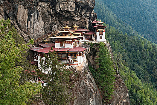 亚洲,不丹,虎穴寺,窝,著名,寺院