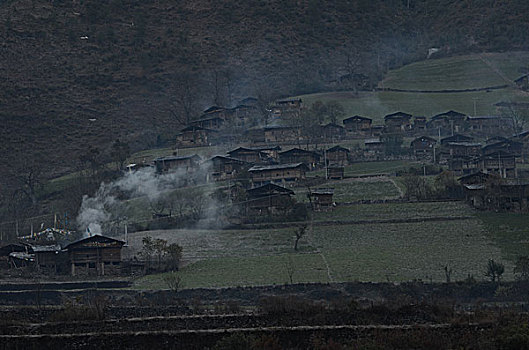 雾里村