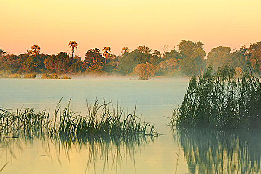 黎明,上方,赞比西河,赞比亚