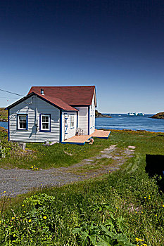 房子,冰山,小路,纽芬兰,拉布拉多犬,加拿大