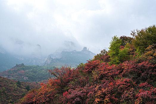 太行山秋日风光