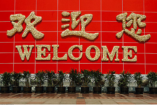 中国,欢迎标志,上海