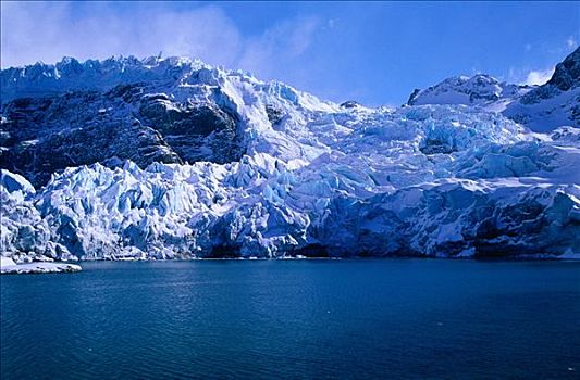 冰河,金港,南乔治亚,南极群岛