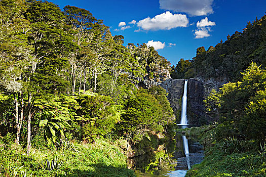瀑布,北岛,新西兰
