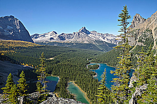 远眺,欧哈拉湖,幽鹤国家公园,不列颠哥伦比亚省,加拿大