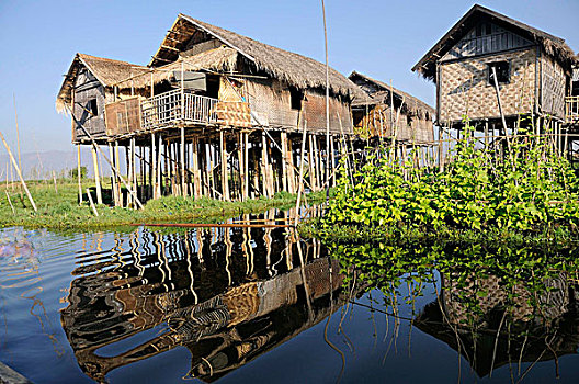 房子,漂浮,花园,建造,茵莱湖,掸邦,缅甸,东南亚,亚洲