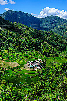 稻米梯田,巴纳韦,北方,吕宋岛,菲律宾