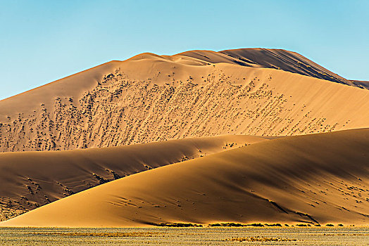 大,沙漠,沙丘,索苏维来地区,纳米比亚