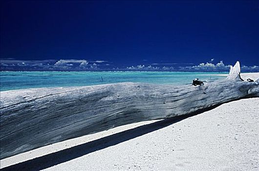 法属玻利尼西亚,泰蒂亚罗阿岛,岛屿,浮木,白色背景,沙滩