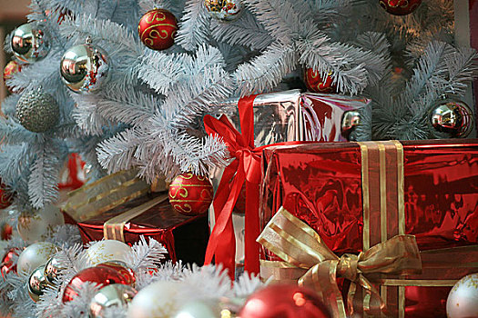 礼物,圣诞节,树