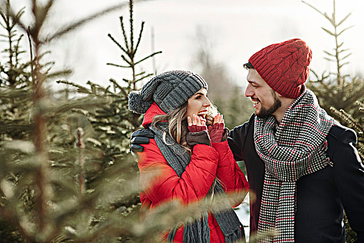 高兴,年轻,情侣,圣诞树,树林