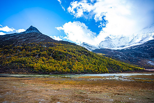 稻城亚丁秋色,秋季风光,高原雪山摄影,四川,甘孜州,秋天风景,自然风光摄影,仙乃日,央迈勇,夏诺多吉,三大神山,2020年