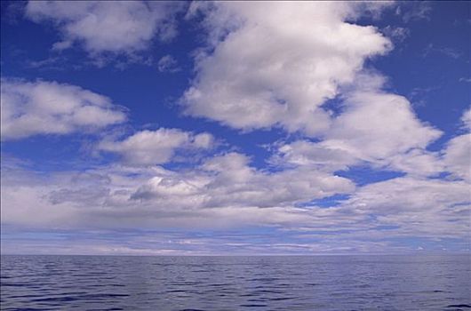 积云,夏天,拉布拉多海,北方,拉布拉多犬,加拿大