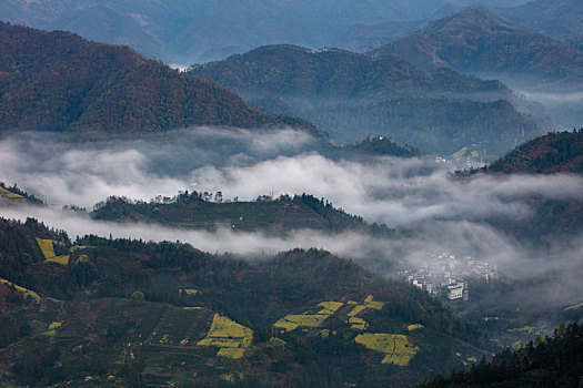 石潭,云海,安徽,山沟,油菜花,风光,壮观,气候,环境,仙境,诱惑,秀美,俯瞰,村庄