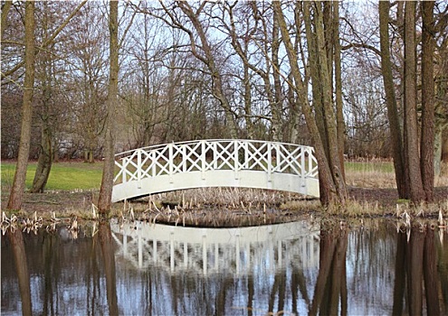 白色,桥,小,水塘,公园