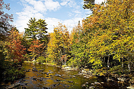 湖,省立公园,新斯科舍省,加拿大