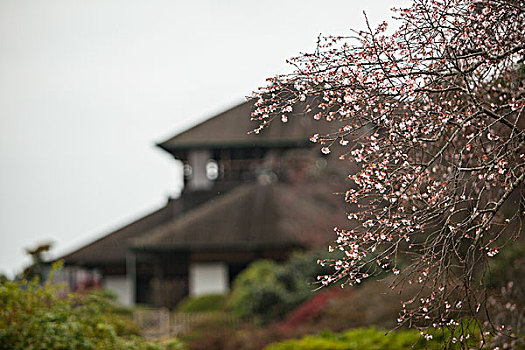 茨城县