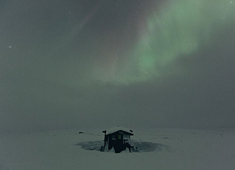 夜景,北极光,冰冻,冬天,乡野