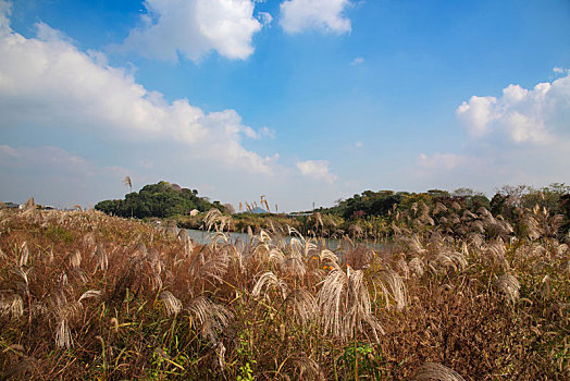 中国最美湿地,浙江省湖州市德清县下渚湖