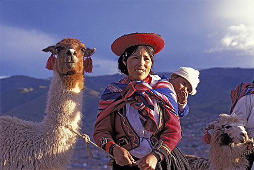 秘鲁,靠近,库斯科市,盖丘亚族,女人,美洲驼