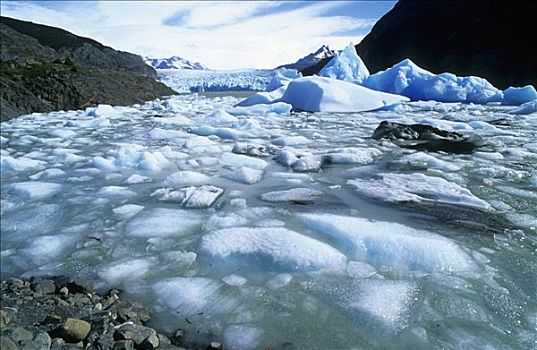 浮冰,湖,托雷德裴恩国家公园,智利